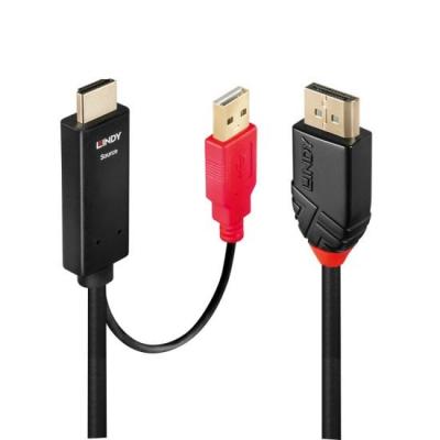 3m HDMI to DisplayPort Cable - Black